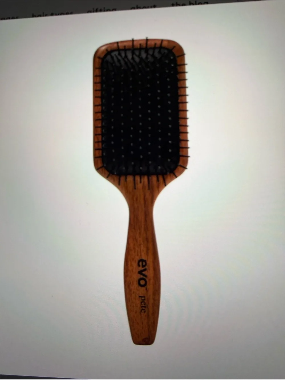 EVO Pete Ionic Paddle Brush